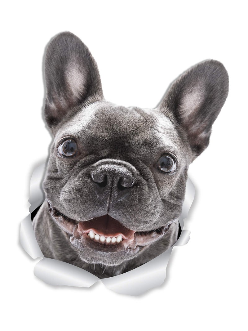 Winston Bear Winston & Bear Smiling Frenchie Dog Wall Decals - 2 Pack - French Bulldog 3D Sticker Decals for Walls, Cars, Toilet and More - Retail Packaged French Bulldog Gifts - Image 1